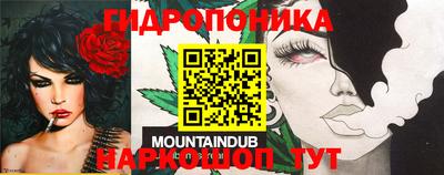 мдпв Партизанск