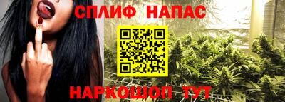мдпв Партизанск