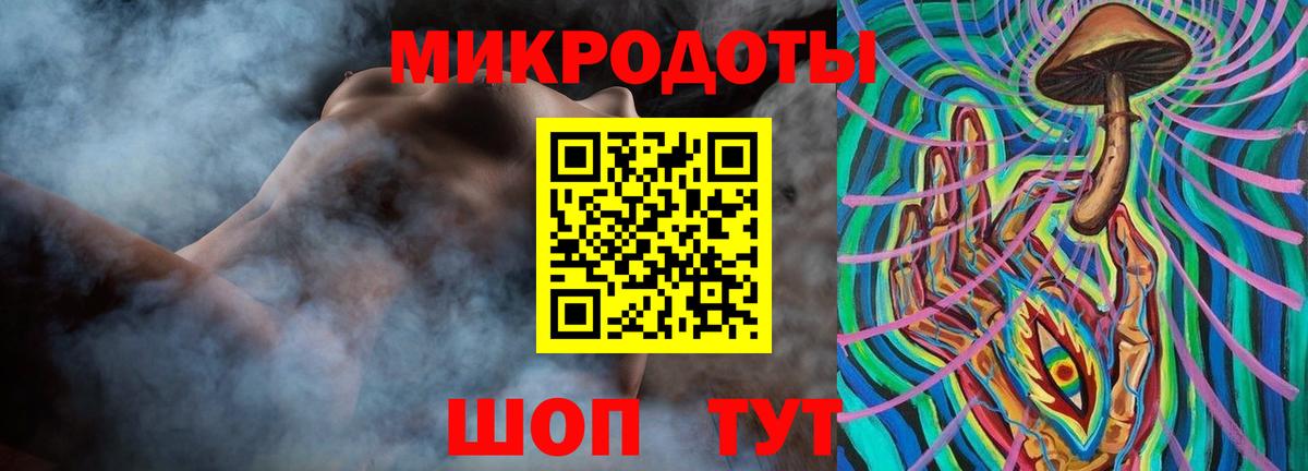 Псилоцибиновые грибы Psilocybine cubensis Россия